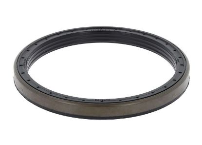 Shaft Seal, wheel hub CASE 247877A1