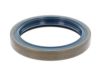 Shaft Seal, wheel hub Iveco 40002630