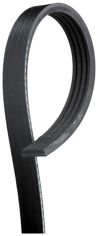 V-Ribbed Belt RENAULT - 11 72 029 29R