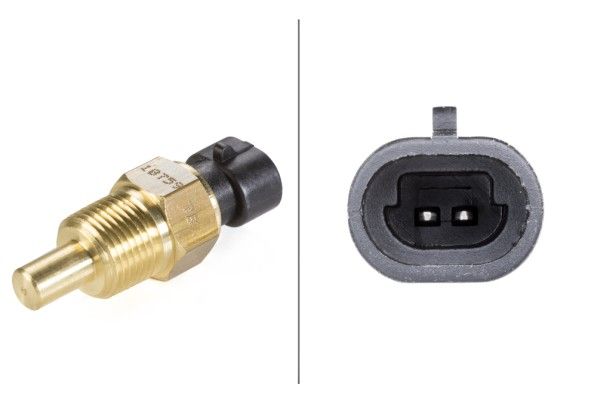 Sensor, oil temperature