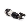 Air Suspension Strut MB S-Class (W220)03-06 esi parem 2203202238