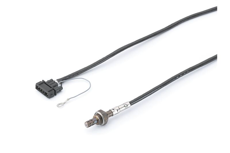 Oxygen Sensor