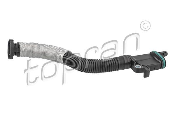 Hose, cylinder head cover ventilation VAG