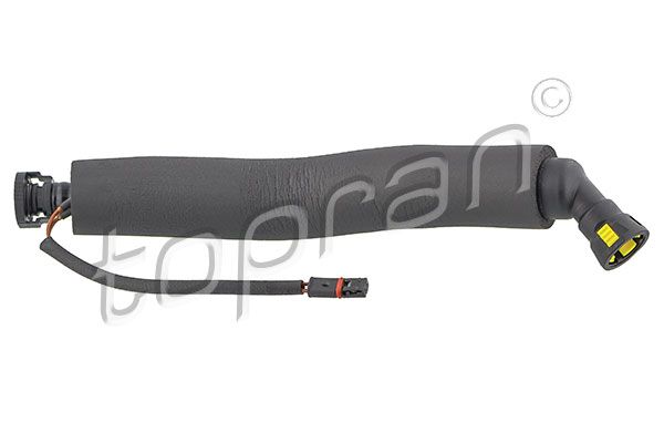 Hose, cylinder head cover ventilation BMW/MINI