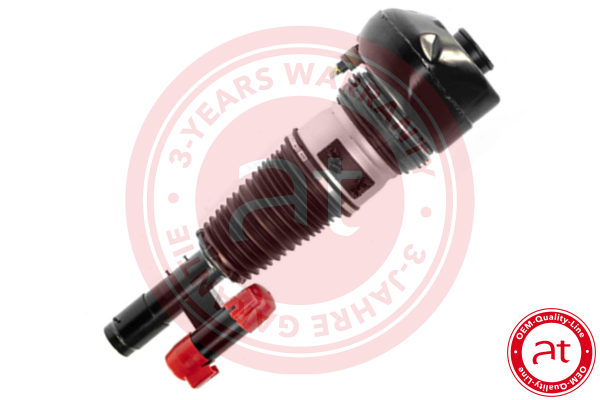 Air Suspension Strut BMW