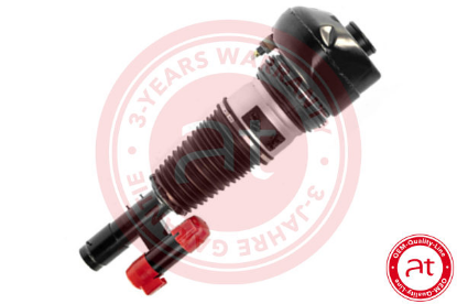 Air Suspension Strut BMW