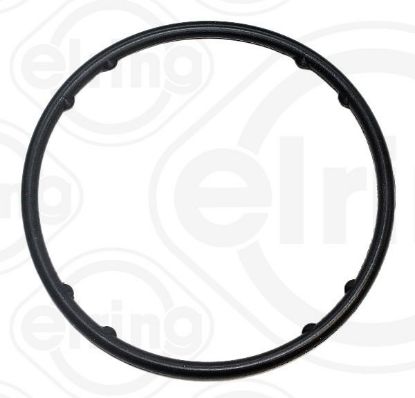 Seal, water pump VOLKSWAGEN