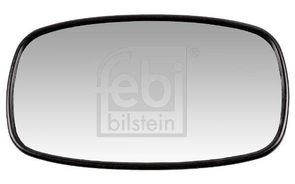 Ramp Mirror DAF - 1525 596