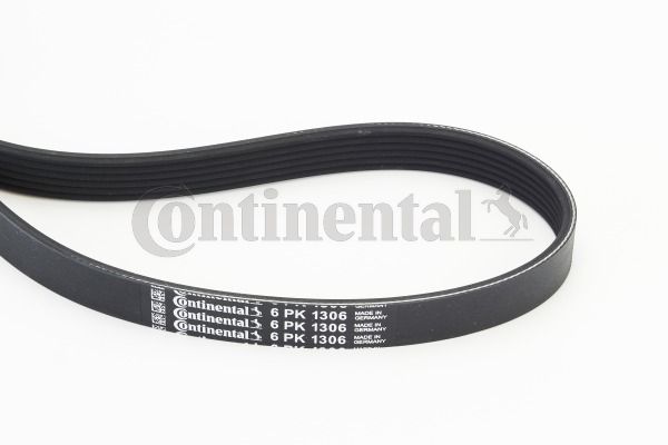 V-Ribbed Belt FOCUS C-MAX, S40 II (MS)