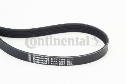 V-Ribbed Belt FOCUS C-MAX, S40 II (MS)