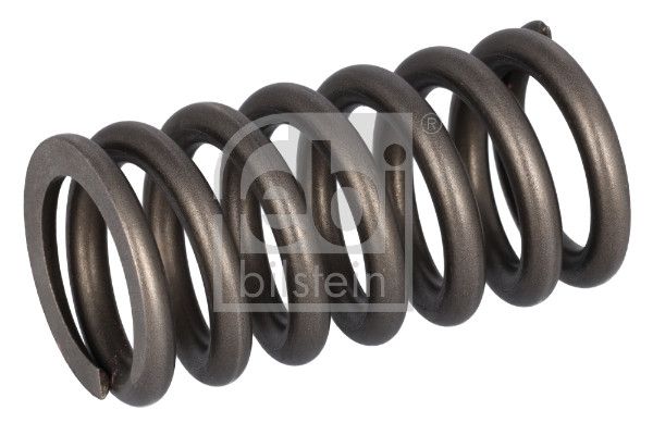 Valve Spring Volvo Lkw 22527820