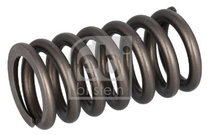 Valve Spring Volvo Lkw 22527820