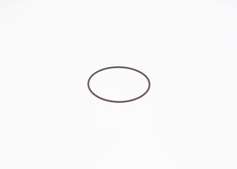 Seal Ring, injector O-ring