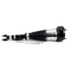 Air Suspension Strut Fr Rt Eibach Air Strut - 13- MB S-Cls/Mayb. (W222