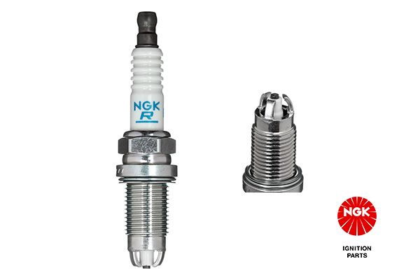 Spark Plug 5548
