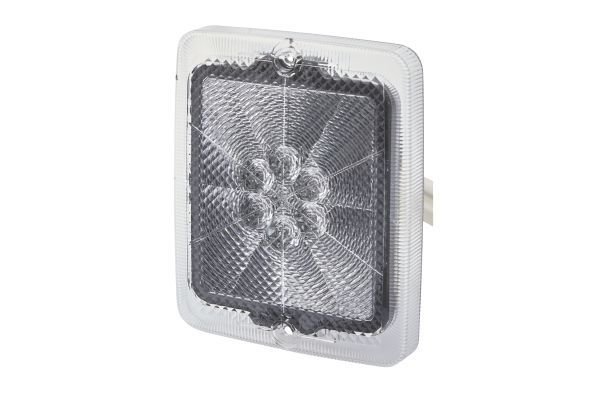 Lens, rear fog light