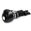 Air Suspension Strut