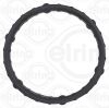 Gasket, timing case Ford USA BC3Z 6020-CA