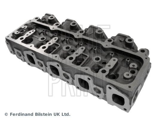 Cylinder Head NISSAN 11039-7F401