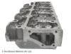 Cylinder Head NISSAN 11039-7F401
