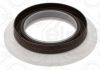 Shaft Seal, intermediate shaft Fiat