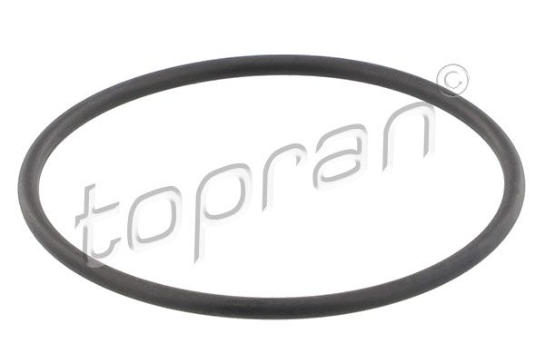 Seal, thermostat Opel, General Motors