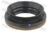 Shaft Seal, differential NISSAN 38189-CA000, RENAULT 38189-CA000