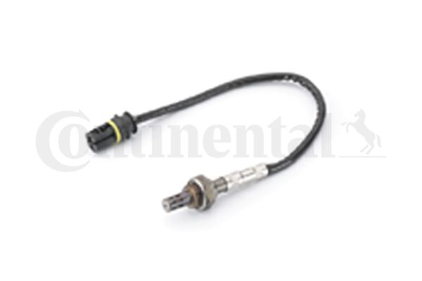 Oxygen Sensor