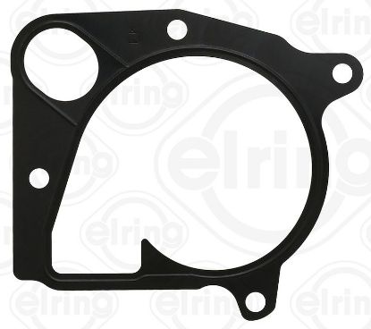 Gasket, water pump BMW - 11 51 7 793 796