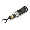 Air Suspension Strut VAG - 4Z7 616 051D