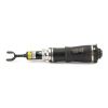 Air Suspension Strut VAG - 4Z7 616 051D