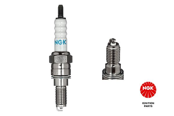 Spark Plug 2862
