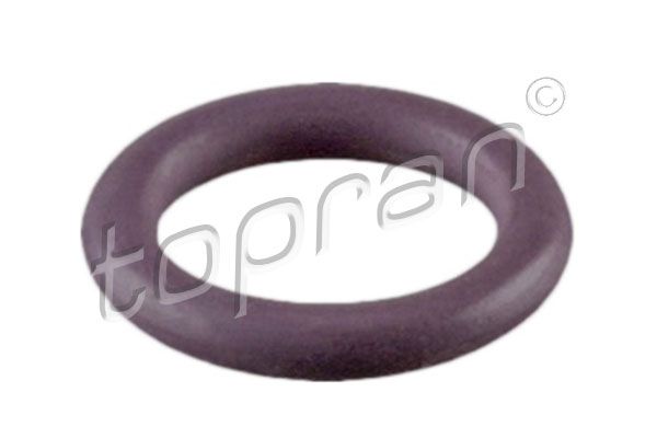 Sealing Ring, coolant line