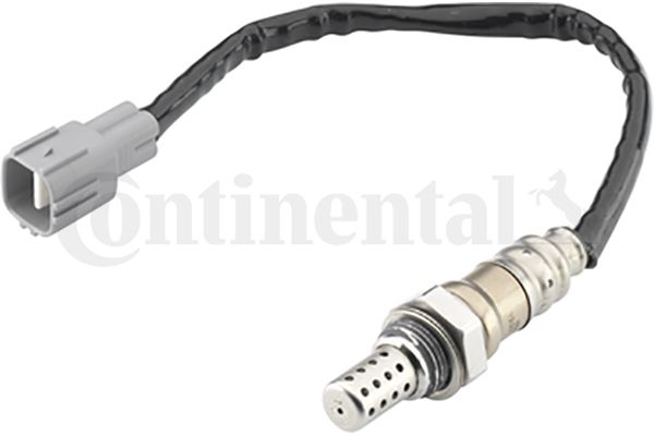 Oxygen Sensor