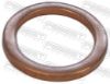 Seal Ring, oil drain plug ALFA ROMEO 234032233, BMW 07119963132, CHRYSLER 61