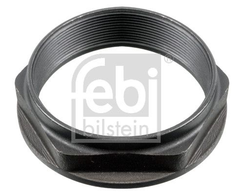 Nut, kingpin RENAULT LKW (RVI) 50 10 439 223