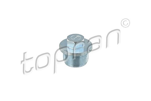 Screw Plug, oil sump VAG
