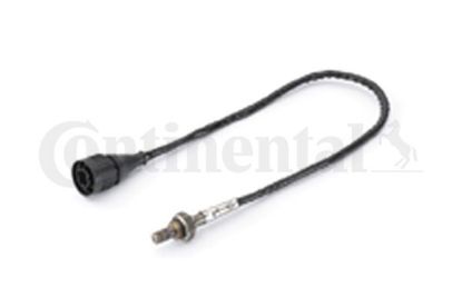 Oxygen Sensor