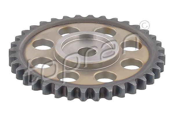 Gear/Sprocket, camshaft VAG