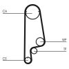 Timing Belt Kit CT1070 K1