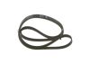 V-Ribbed Belt BMW - 11 28 2 244 179 - 5PK1815