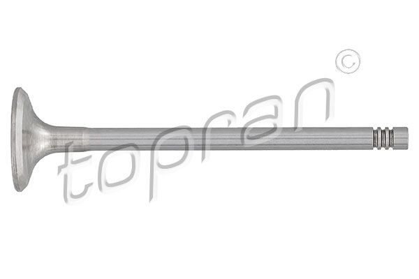 Exhaust Valve Opel, General Motors