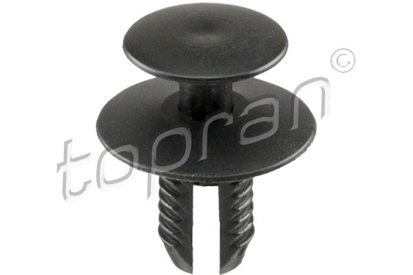 Expanding Rivet BMW/Mini, Volvo, Mitsubishi