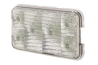 Bulb Holder, reverse light