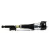Air Suspension Strut
