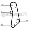 Water Pump & Timing Belt Kit PUNTO (199), 500 C (312)