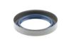 Shaft Seal, differential DEUTZ 21529007010