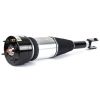 Air Suspension Strut 04-10 Jaguar XJ Series (X350, X358)