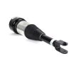 Air Suspension Strut 04-10 Jaguar XJ Series (X350, X358)