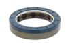Shaft Seal, differential Iveco 40101610